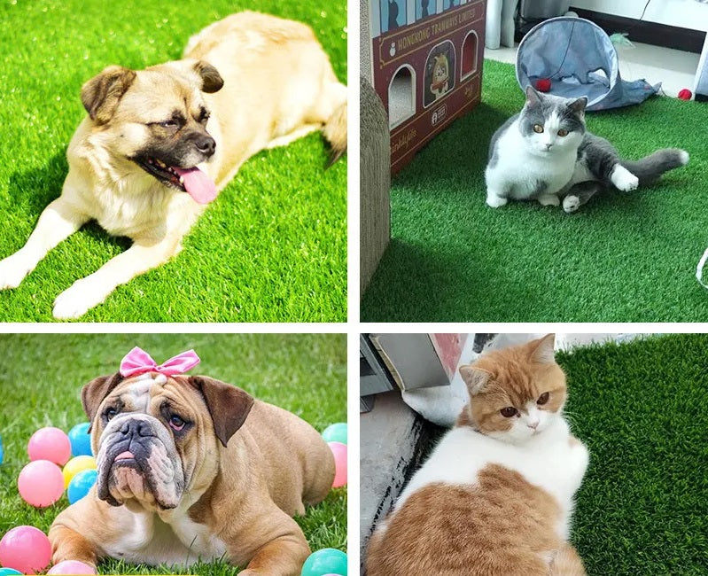 Tapis d'herbe pour chien de haute qualité intérieur et extérieur avec protection anti-fuite pour confort et commodité