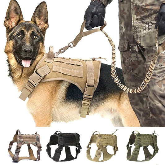 Harnais de sécurité tactique ajustable pour chiens pour un confort et une sécurité ultimes