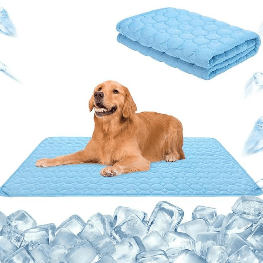Tapis auto-réfrigérant rafraîchissant et sûr pour chiens