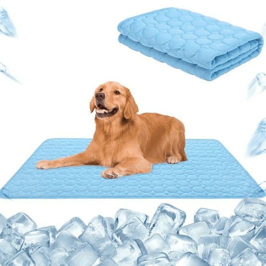 Tapis auto-réfrigérant rafraîchissant et sûr pour chiens