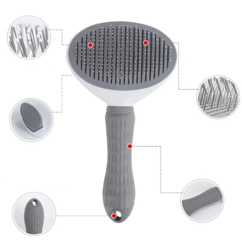 Brosse et peigne professionnels en acier inoxydable pour poils d'animaux pour un pelage parfaitement soigné