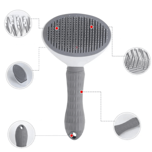 Brosse et peigne professionnels en acier inoxydable pour poils d'animaux pour un pelage parfaitement soigné