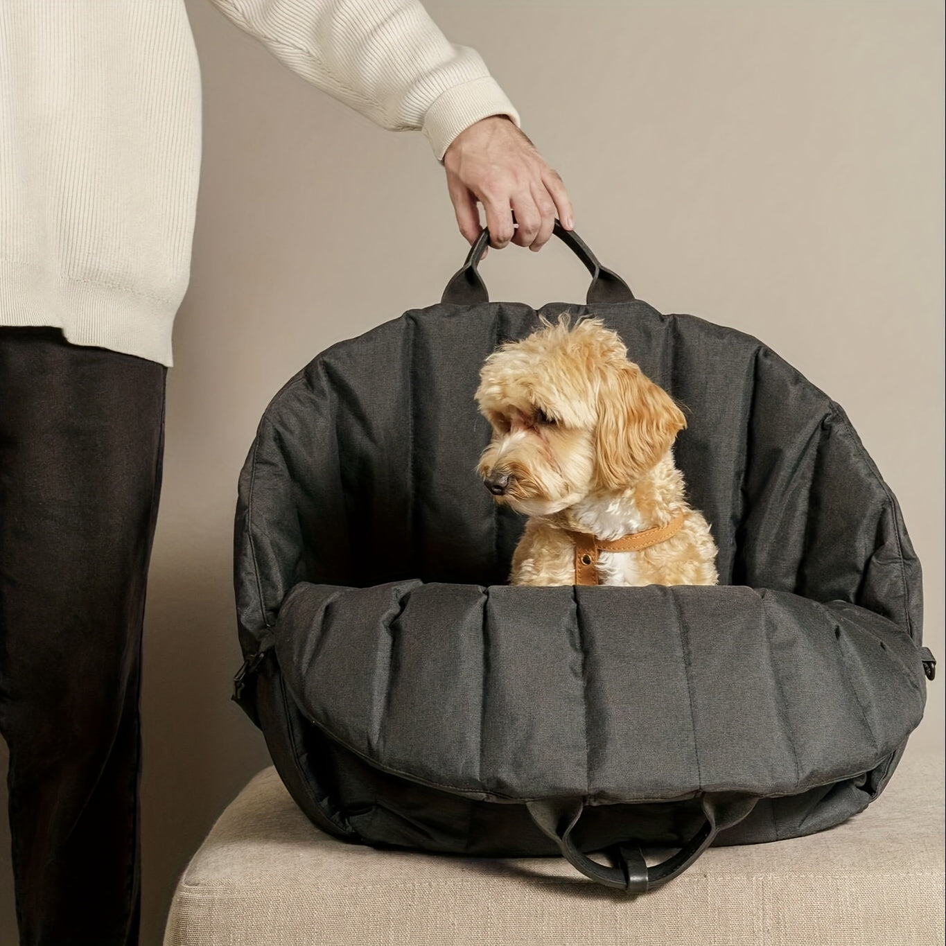 Sac de transport étanche pour chiens et chats pour commodité et sécurité