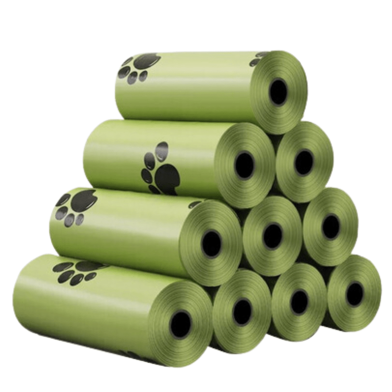 Brosse relaxante et efficace pour un animal heureux