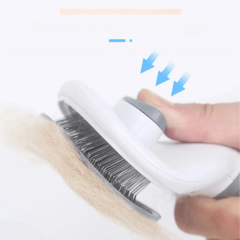 Brosse et peigne professionnels en acier inoxydable pour poils d'animaux pour un pelage parfaitement soigné