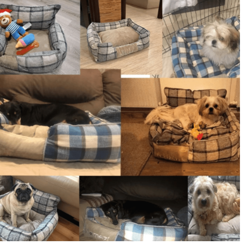 Lit portable ultime confortable pour chien et chat pour chaque saison