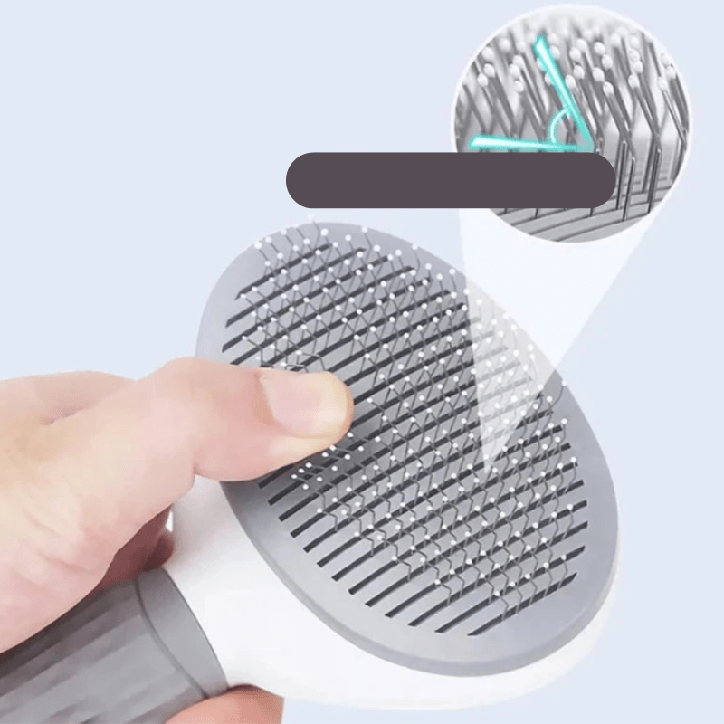 Brosse et peigne professionnels en acier inoxydable pour poils d'animaux pour un pelage parfaitement soigné