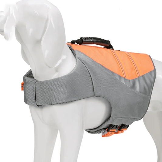 Gilet de flottaison confortable et adapté aux animaux pour des aventures aquatiques plus agréables