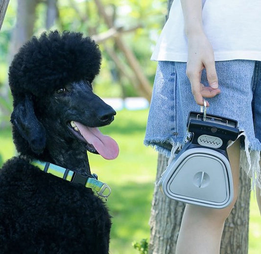 Solution pliable pratique et hygiénique pour les crottes de chien