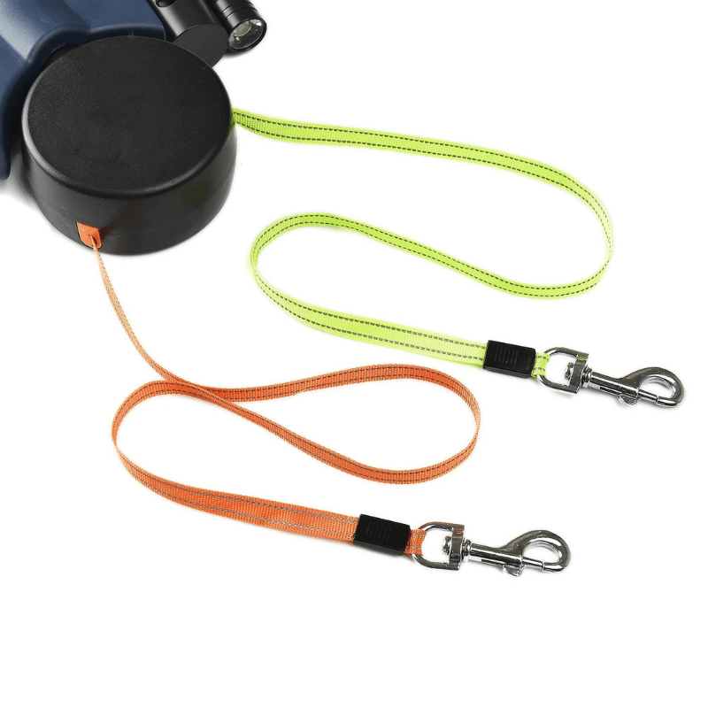 Laisse double pour chien avec lumière LED - Forte jusqu'à 30kg pour des sorties sûres et élégantes