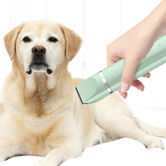 Tondeuse complète pour animaux de compagnie