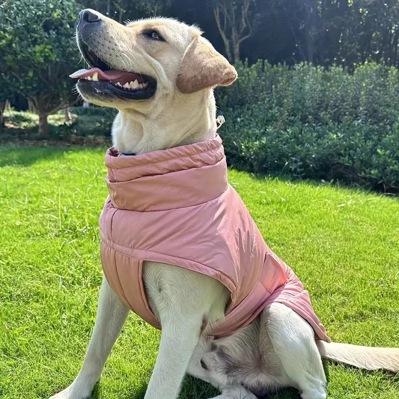 Protection optimale des pieds pour animaux pour un confort et une sécurité ultimes