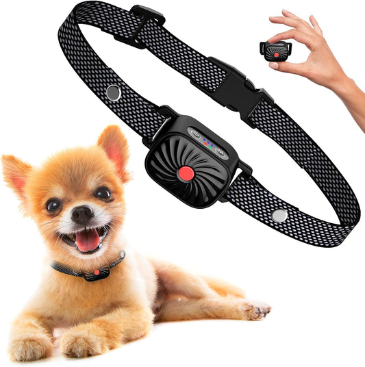 Collier anti-aboiement pour animaux calmes et confortables