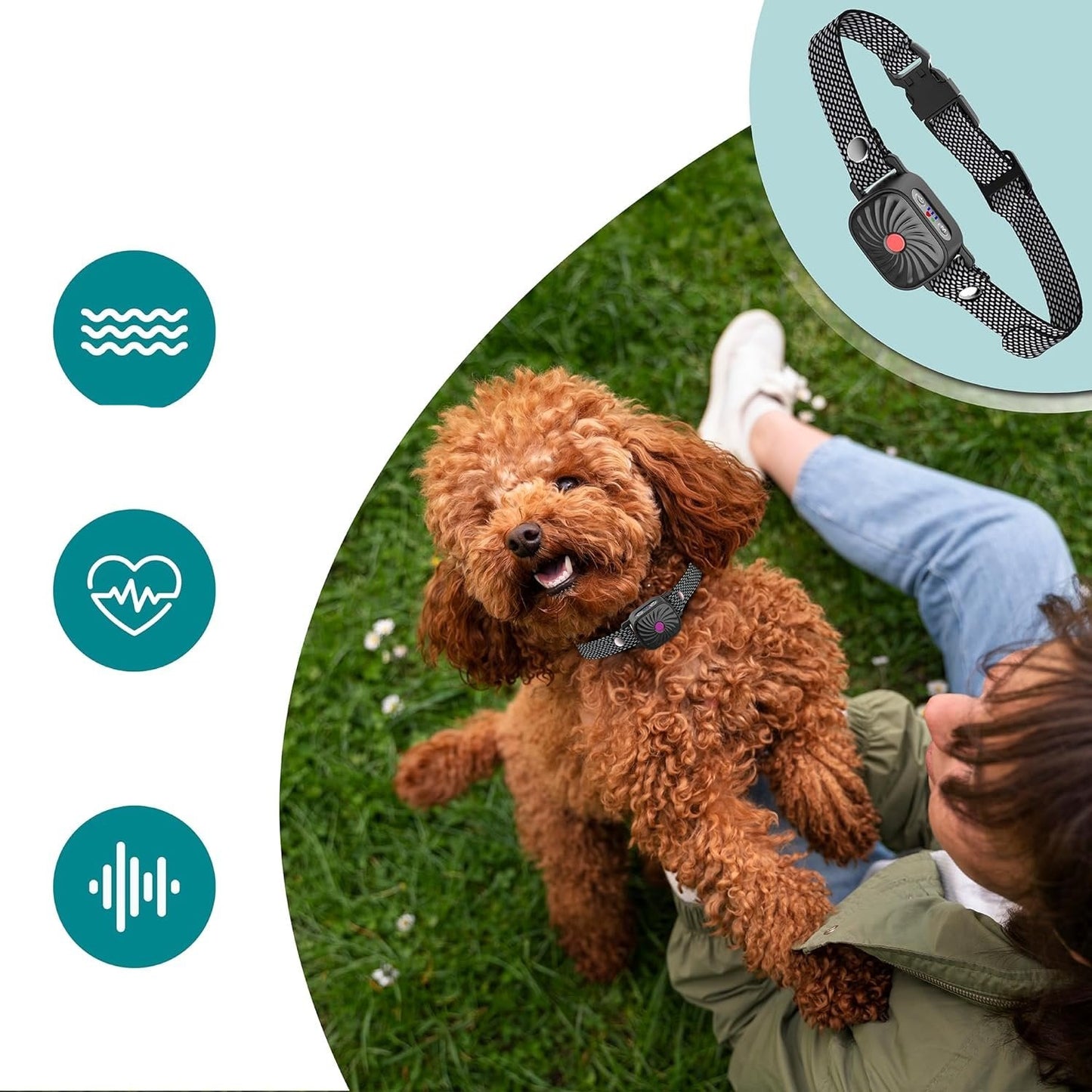Collier anti-aboiement pour animaux calmes et confortables