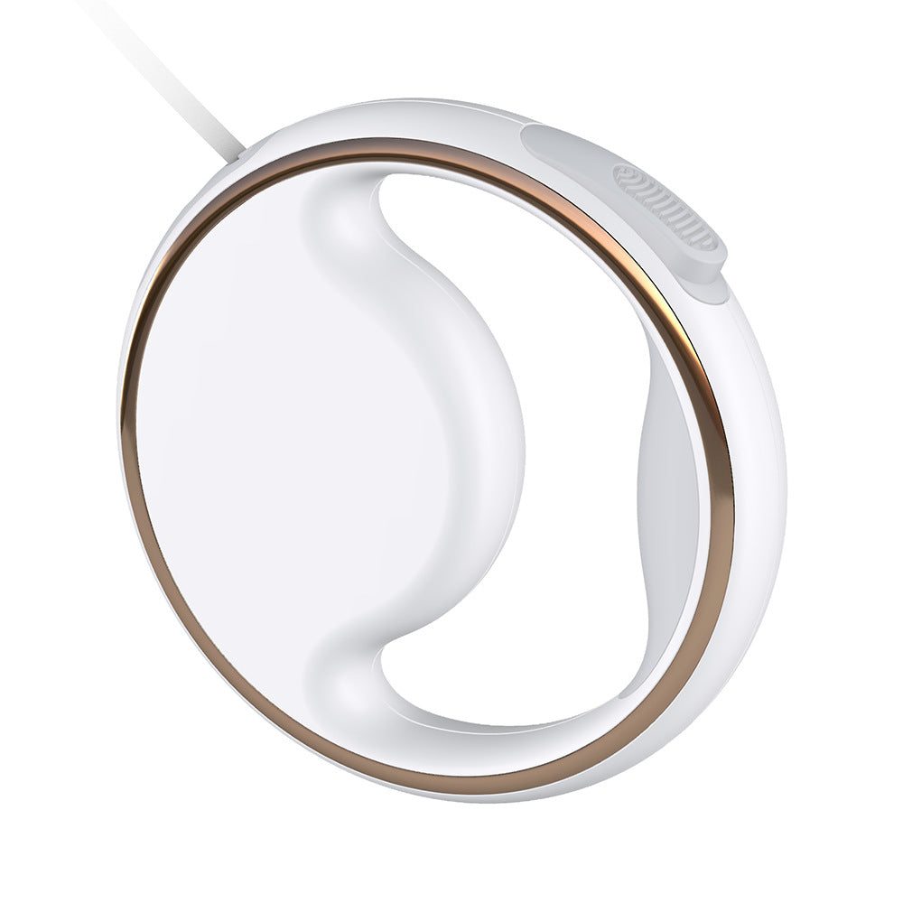 Laisse pour chien réfléchissante rechargeable USB pour commodité et sécurité