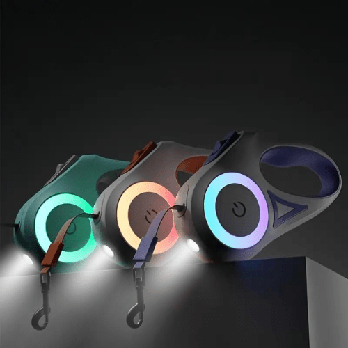 Sécurité Ultime pour Chien : Éclairage LED et Portée de 5m pour Promenade Nocturne