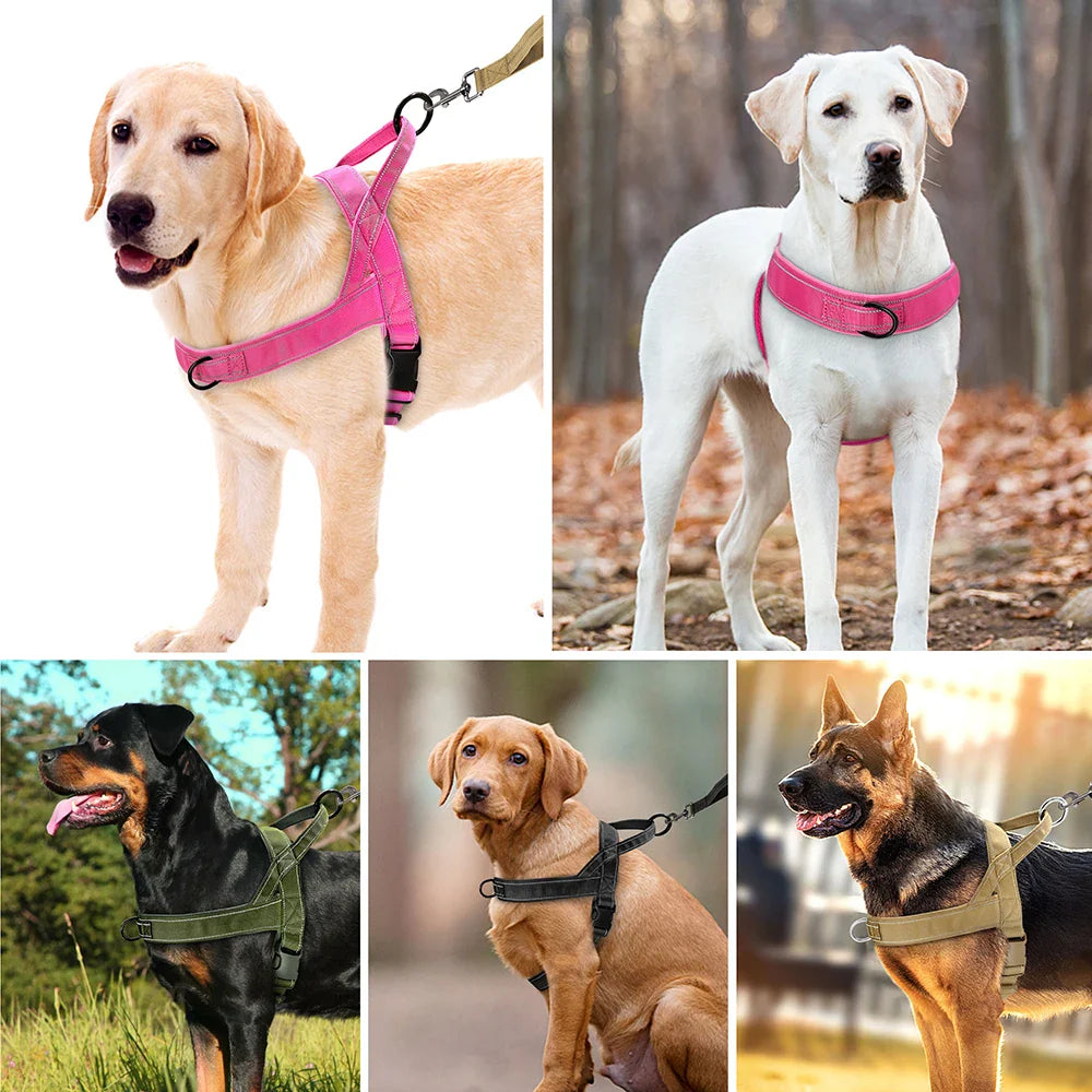 Harnais d'entraînement en nylon confortable pour petits et moyens chiens