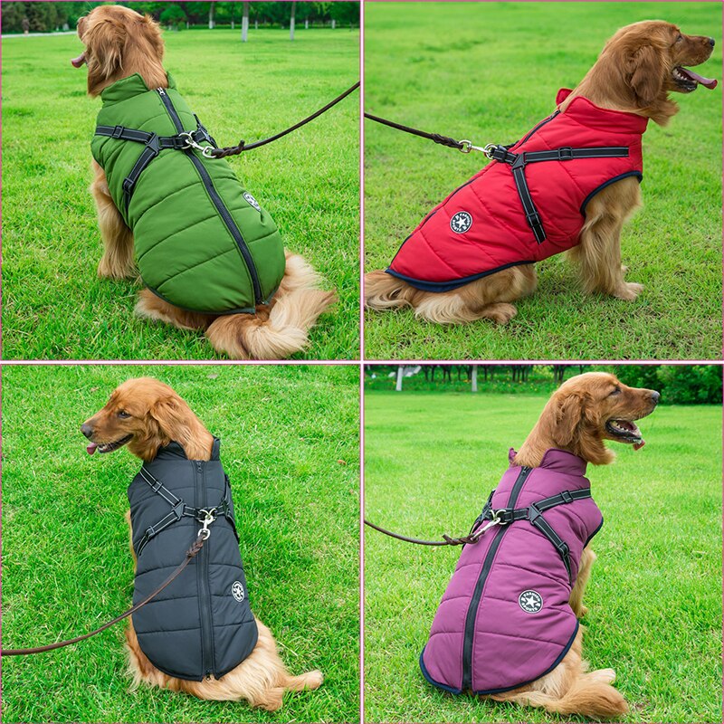Manteau de chien de luxe imperméable avec isolation confortable pour une chaleur supplémentaire