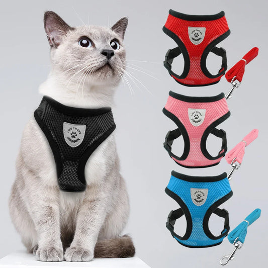 Harnais et laisse réfléchissants pour chat pour des promenades plus sûres