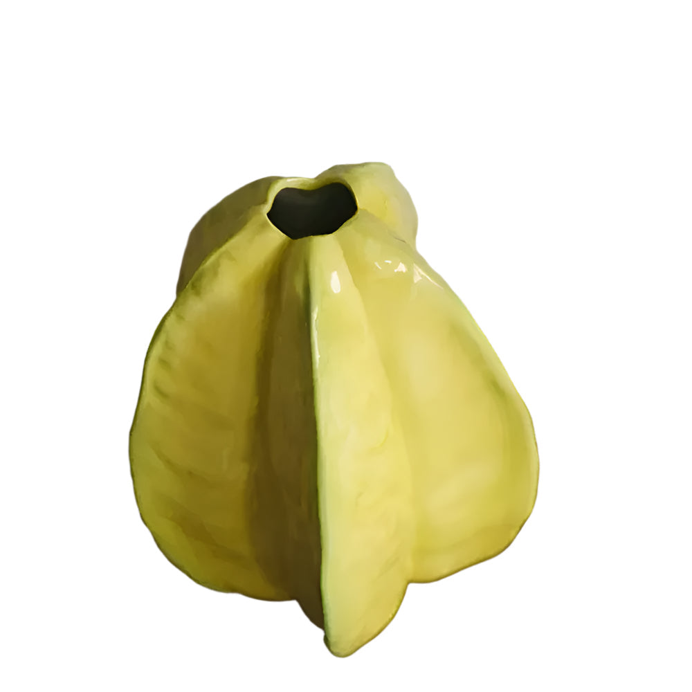 Nerithia - Vase à fleurs en céramique fait main au design élégant de carambole