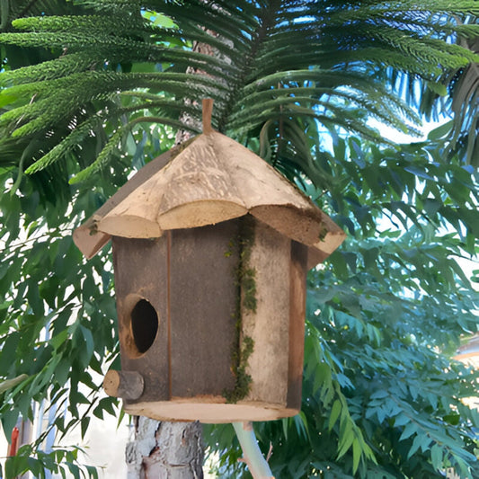 Domus - Charmante maison rustique en bois pour oiseaux avec motif colibri