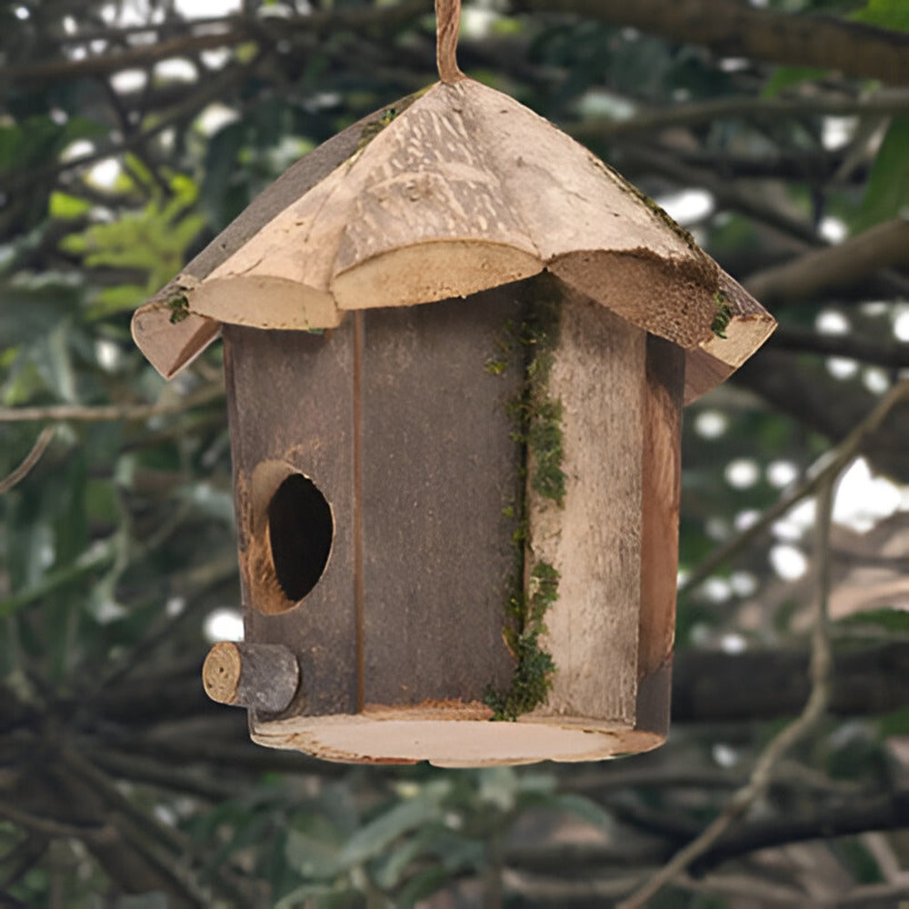 Domus - Charmante maison rustique en bois pour oiseaux avec motif colibri