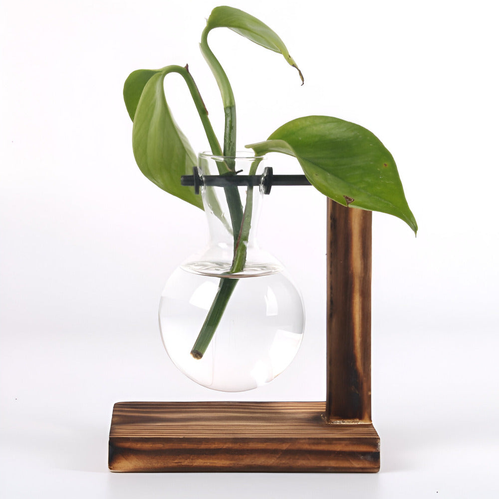 Valethra - Porte-plante hydroponique en bois rustique charmant pour une décoration naturelle