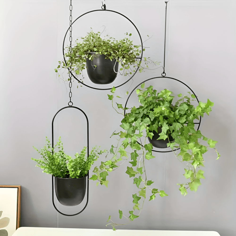 Caelessa - Jardinière murale élégante et épurée pour un intérieur moderne