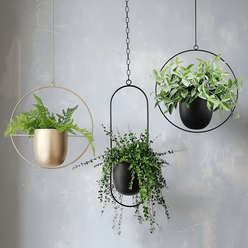 Caelessa - Jardinière murale élégante et épurée pour un intérieur moderne