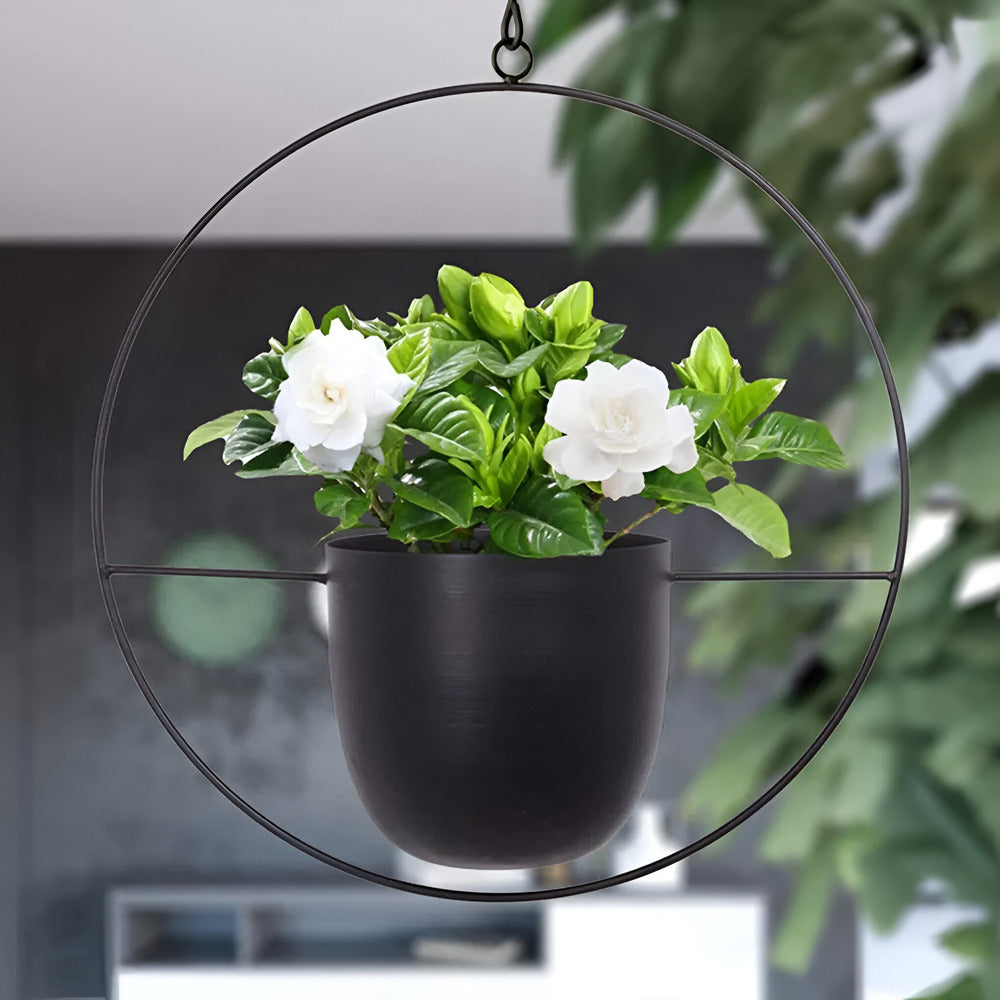 Caelessa - Jardinière murale élégante et épurée pour un intérieur moderne
