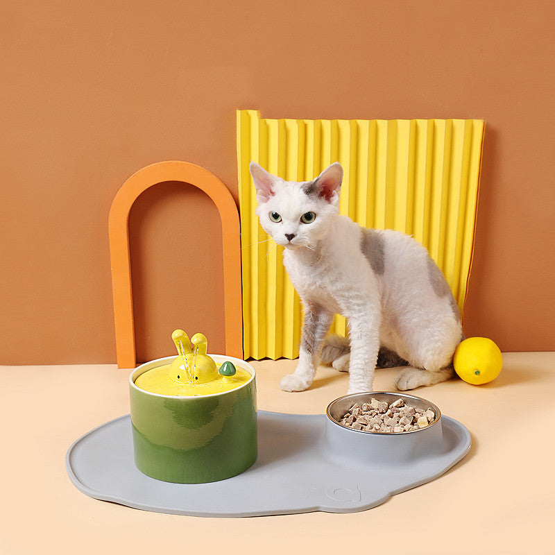 Distributeur d'eau élégant pour un lapin sain et heureux