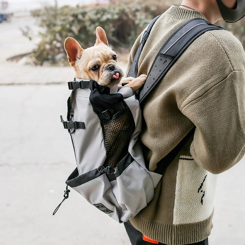 Sac de voyage de luxe pour chiens petits et moyens