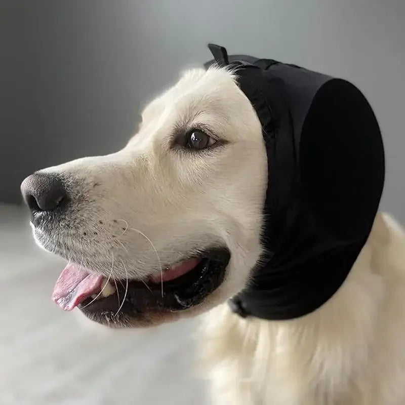 Protège-oreilles pour chiens