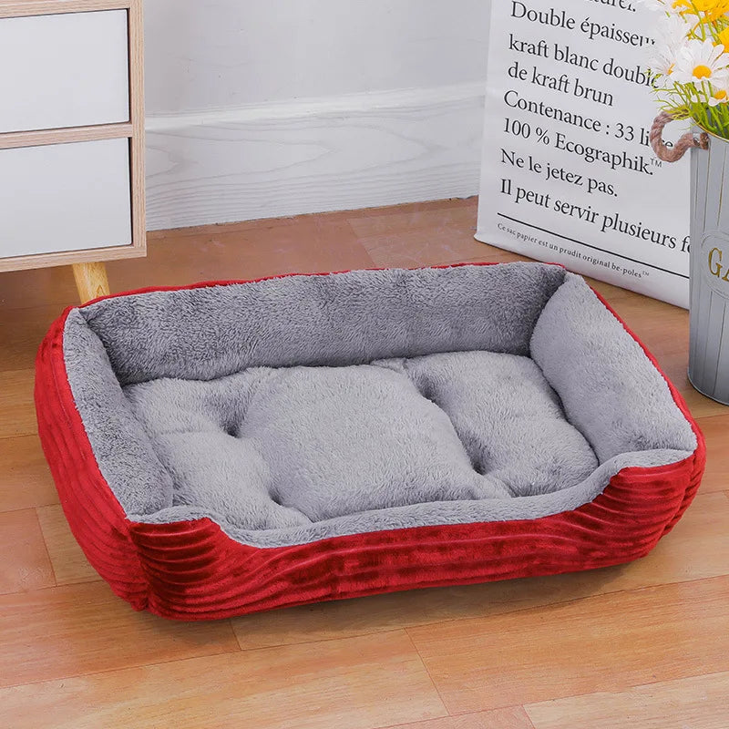 Maison d'hiver confortable pour chiens