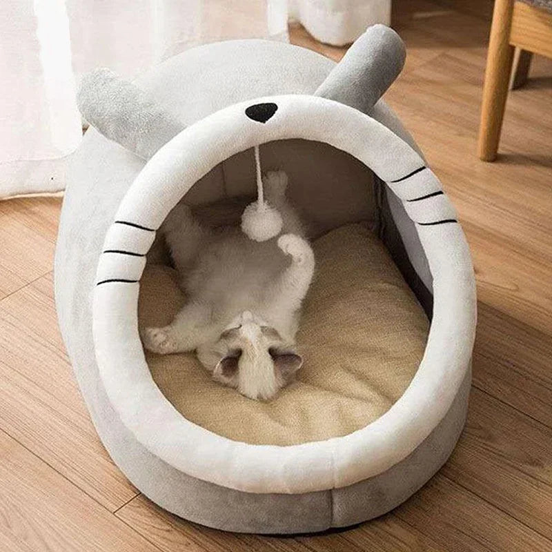 Confortable et chaud pour hommes et animaux de compagnie de