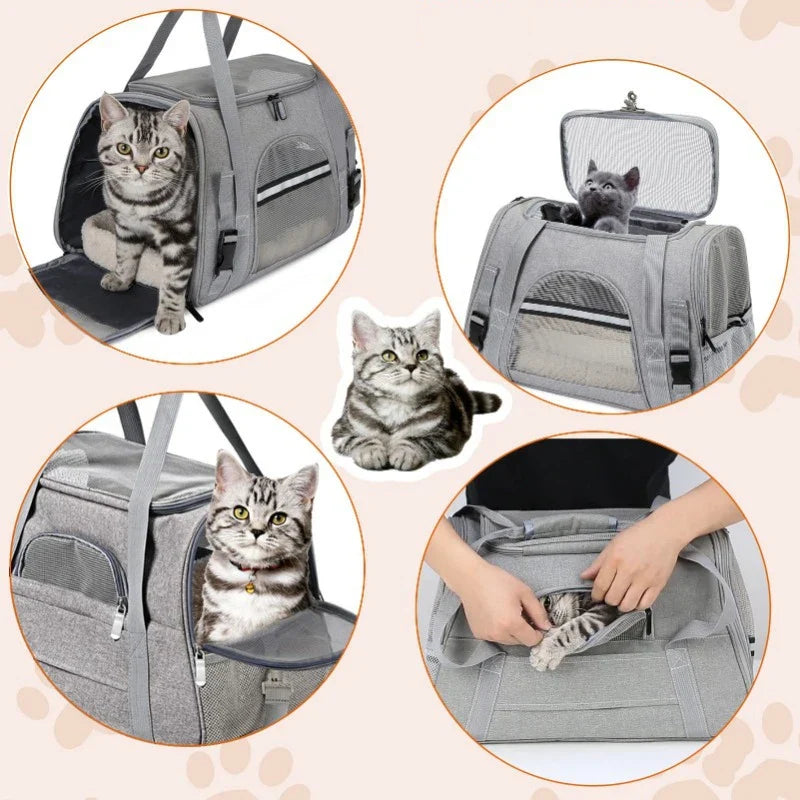 Sac à dos portable compact et élégant pour le transport facile des animaux de compagnie