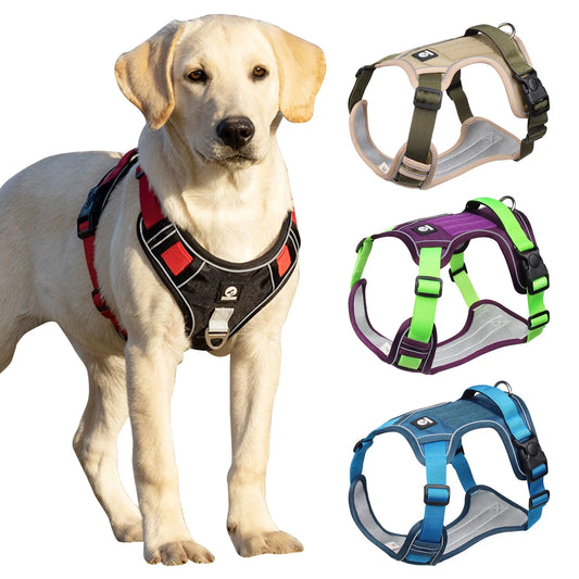 Harnais tactique pour chiens moyens et grands - Confort et sécurité pendant les aventures