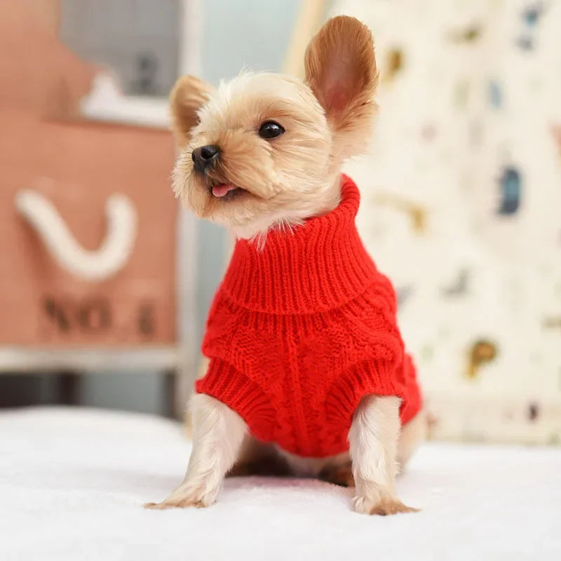Pull confortable et chaud pour animaux pour une protection supplémentaire douillette
