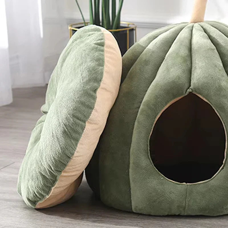 Lit fermé douillet pour chat pour les journées d'hiver chaudes