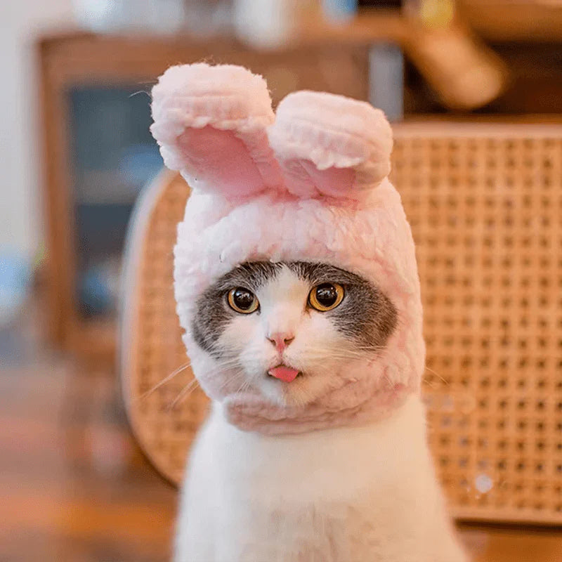 Chapeau d'hiver confortable pour animal de compagnie