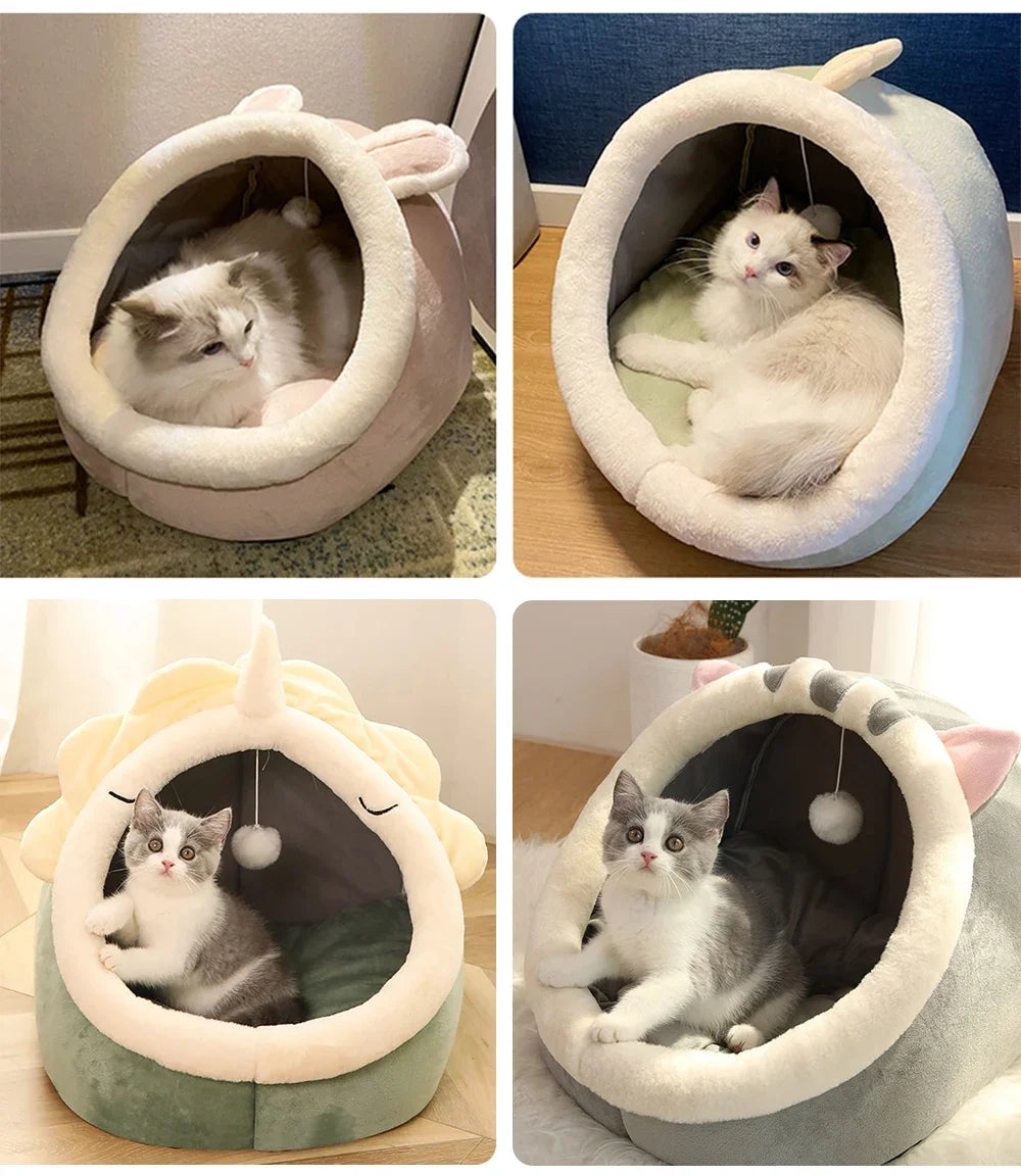 Confortable et chaud pour hommes et animaux de compagnie de