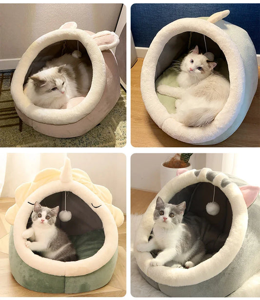 Confortable et chaud pour hommes et animaux de compagnie de