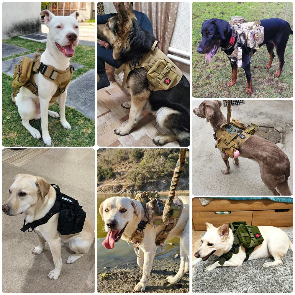 Harnais tactique confortable pour chien avec laisse pour une promenade sûre et élégante