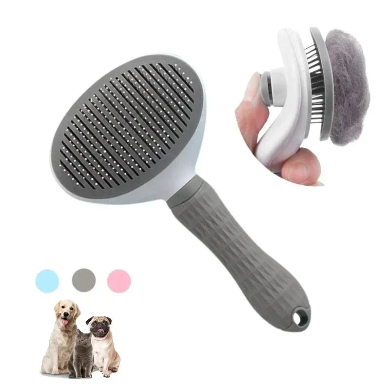 Brosse et peigne professionnels en acier inoxydable pour poils d'animaux pour un pelage parfaitement soigné