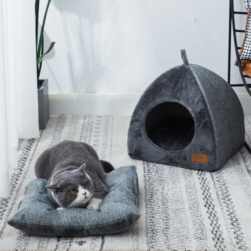 Maison fermée de luxe pour chat pour une chaleur, un confort et une sécurité ultimes