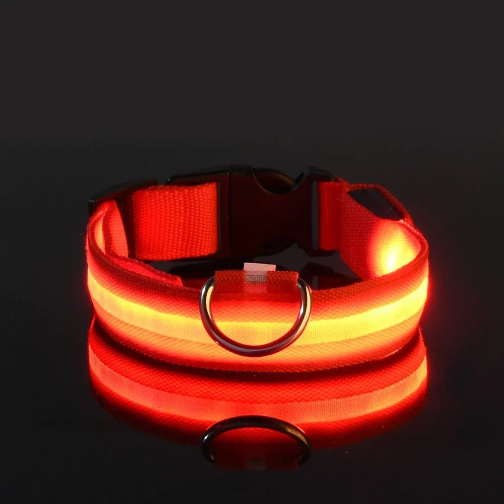 Collier pour chien LED de luxe pour une sécurité nocturne ultime