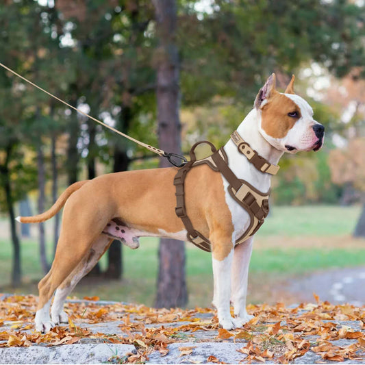 Harnais pour chien réglable de luxe pour petites et grandes races