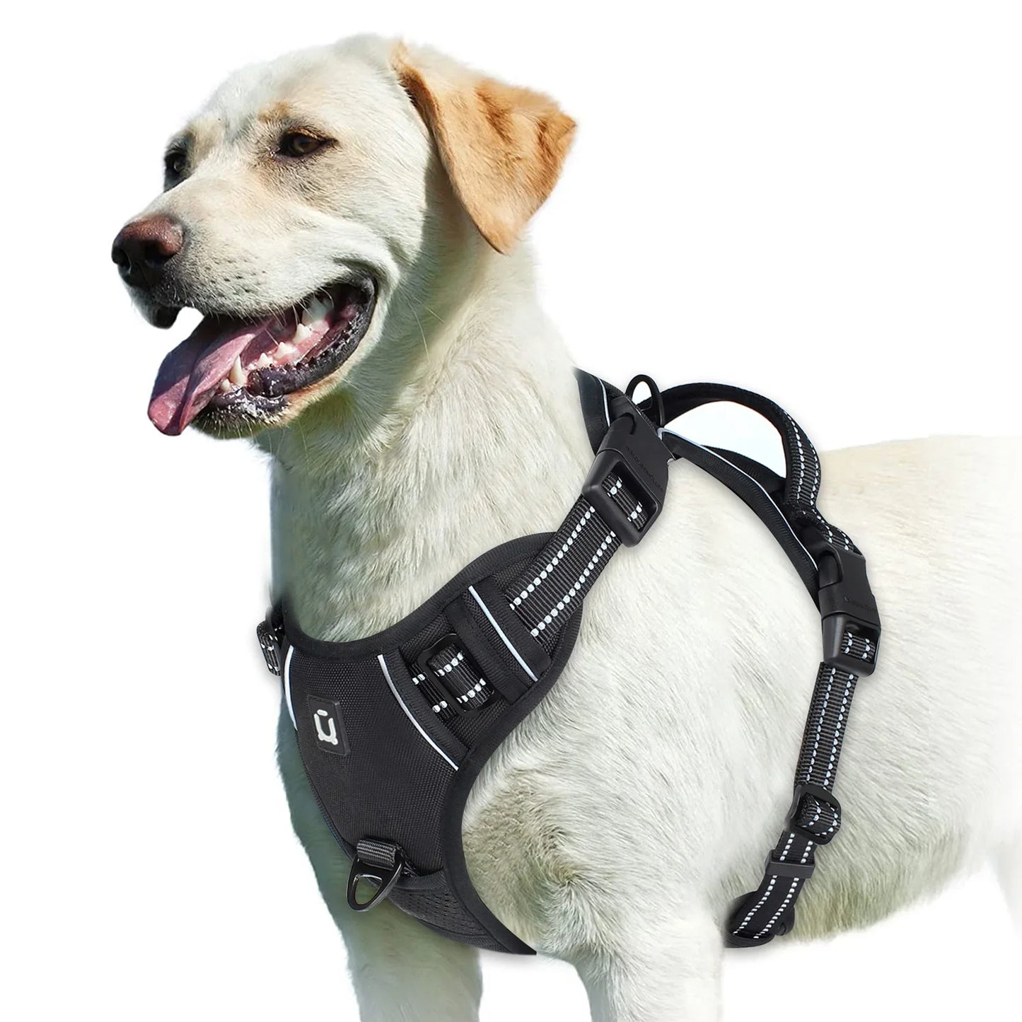 Harnais pour chien réglable pour un confort et une sécurité ultimes