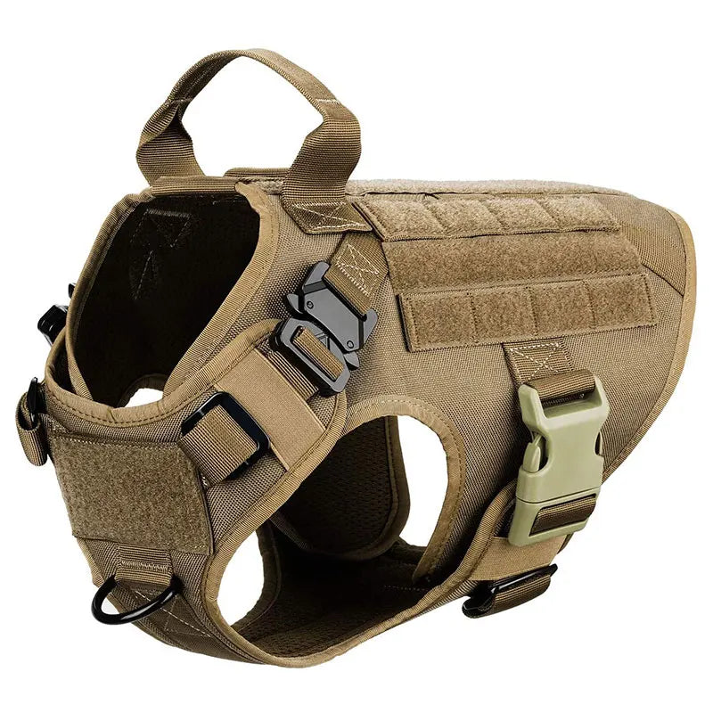 Harnais tactique confortable pour chien avec laisse pour une promenade sûre et élégante