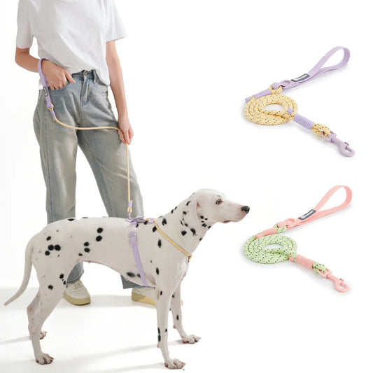 Laisse pour chien en nylon tressé à la main WebTrek Luxe pour confort et durabilité